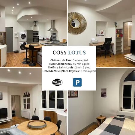 Cosy Lotus 1Ch - Place Verdun & Parking Pau Εξωτερικό φωτογραφία